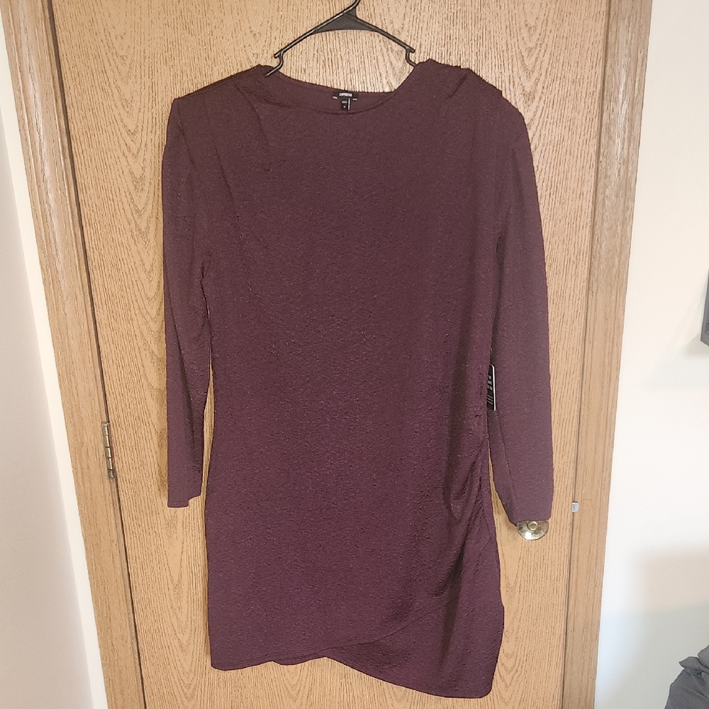 Express Long Sleeve Plum Dress